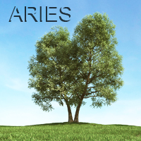 EA Aries
