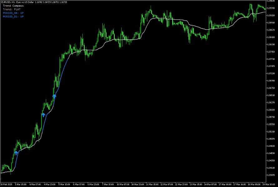 Imagens #6 Trend Compass