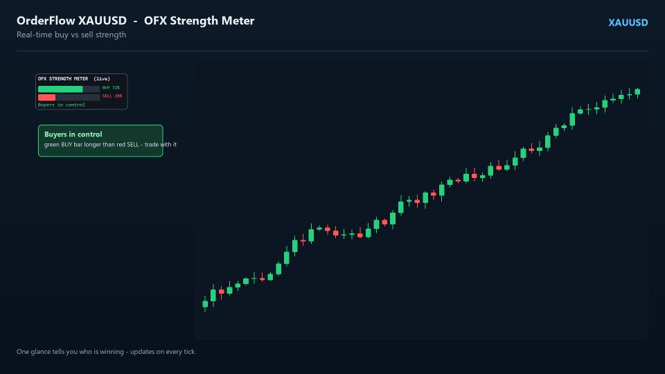 Imagens #4 OFX StrengthMeter