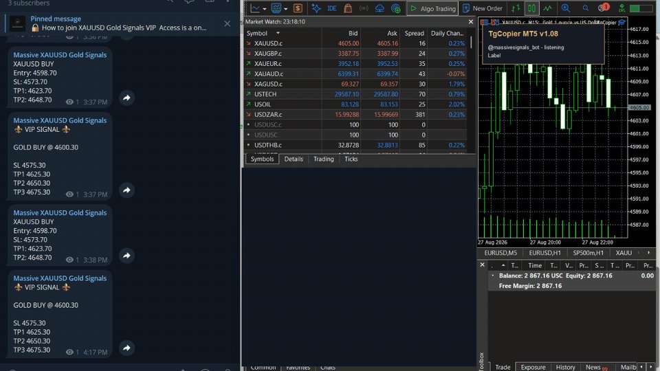 Screenshot #2 TgCopier