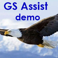 GS AssistDemo