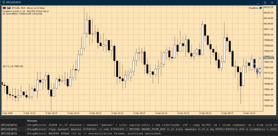 Screenshot #3 PropMirror
