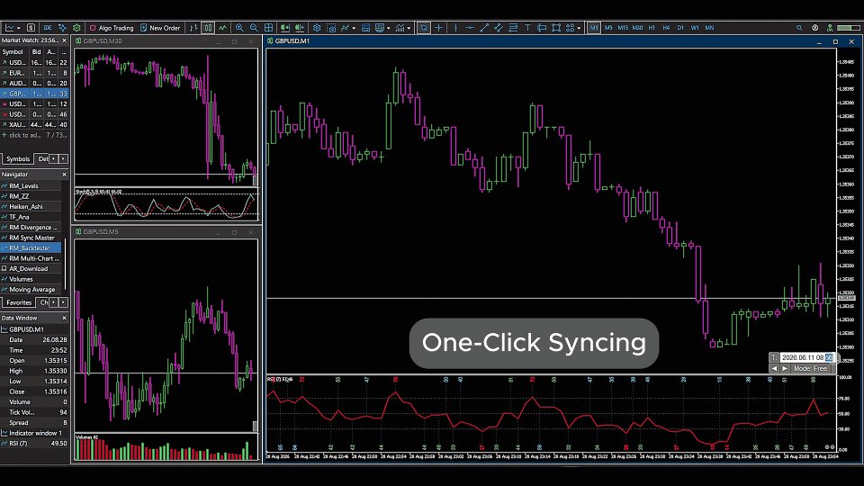 Screenshot #1 RM Multi Chart Backtester