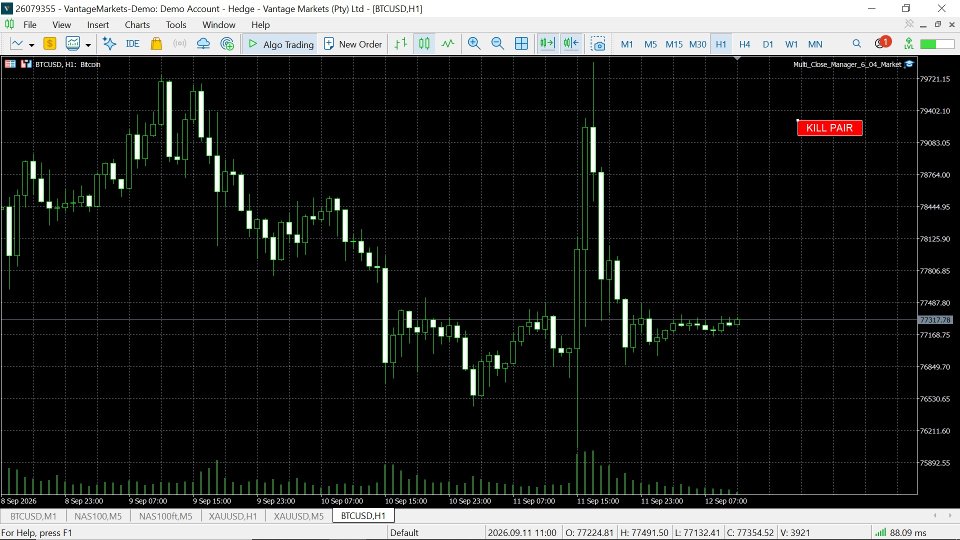 Screenshot #6 Multi Close Manager