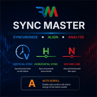 RM Sync Master