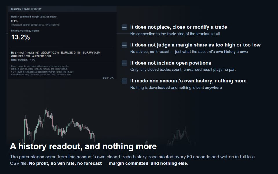 Screenshot #4 Margin Usage History