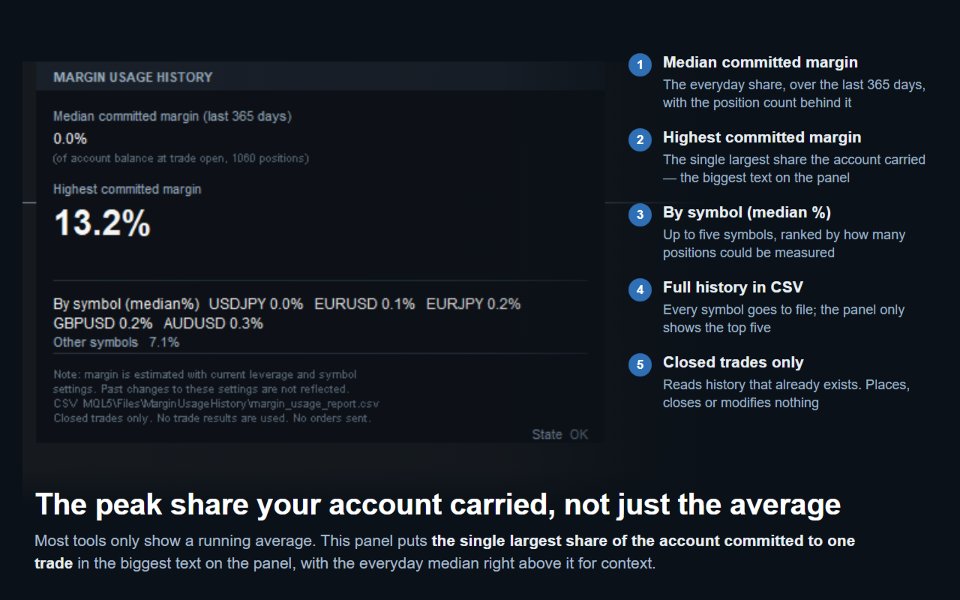 Screenshot #1 Margin Usage History