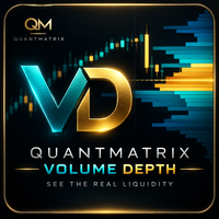 QuantMatrix Volume Depth