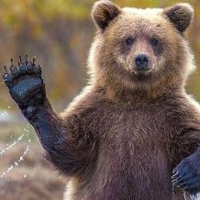 Hi Five