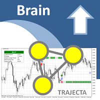 Trajecta Brain