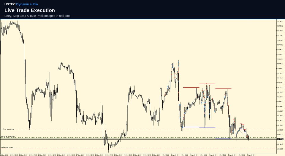 Screenshot #1 USTEC Dynamics Pro