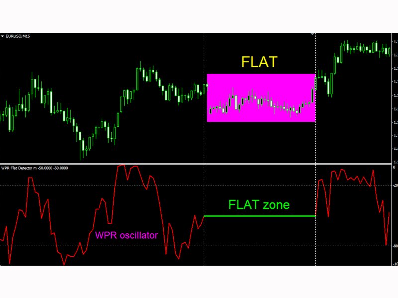 스크린샷 #1 WPR Flat Detector mr