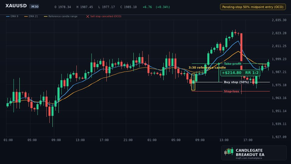 Screenshot #2 CandleGate Breakout