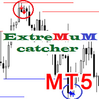 Extremum catcher MT5