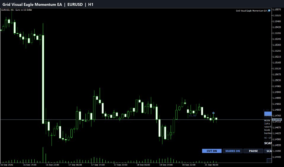 Captura de pantalla #1 Grid Visual Eagle Momentum EA