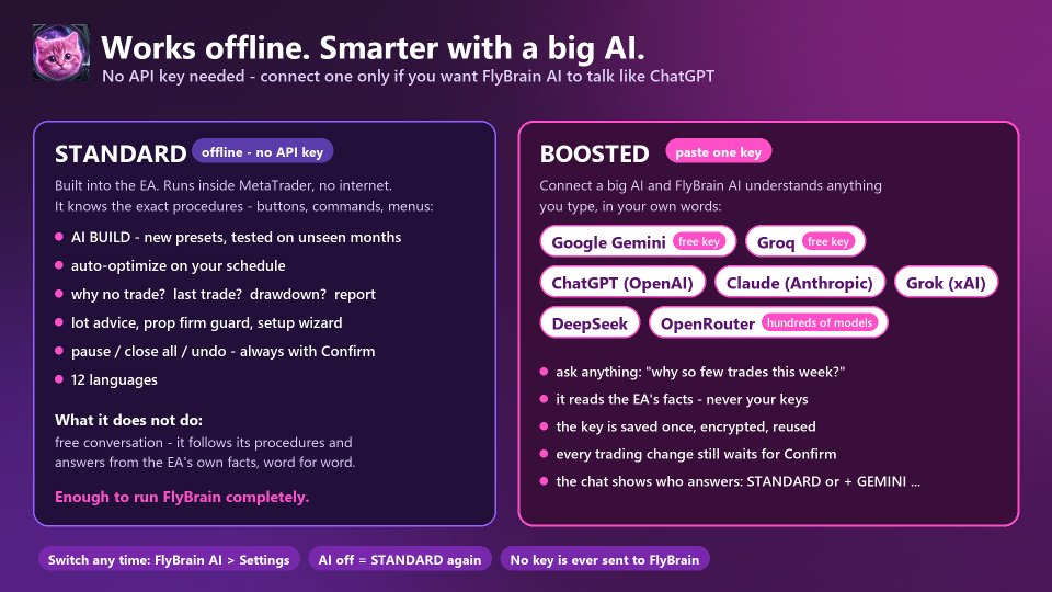 Screenshot #9 FlyBrain