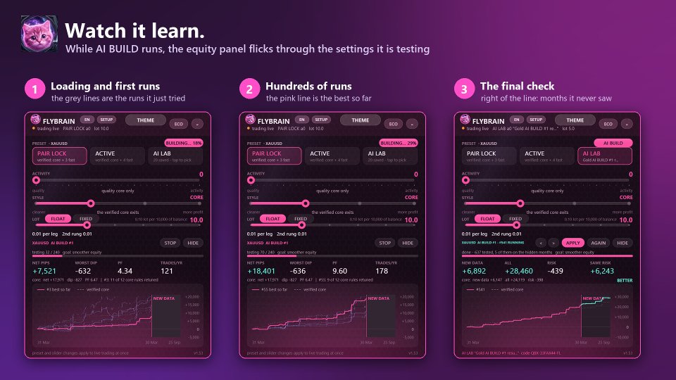 Screenshot #5 FlyBrain