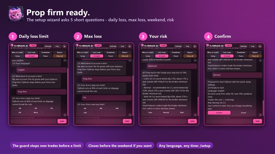 Screenshot #7 FlyBrain