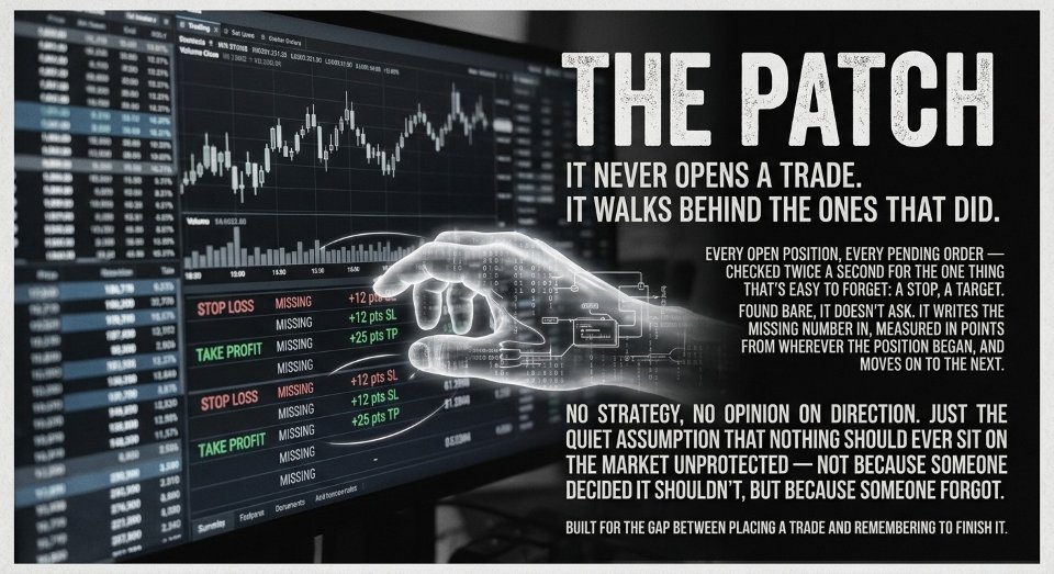 Screenshot #1 The Patch