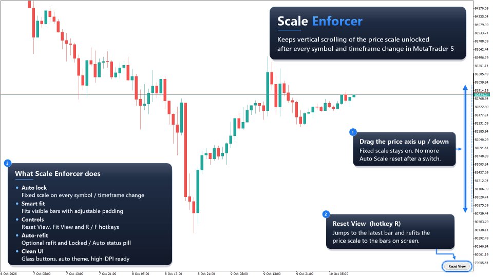Screenshot #1 Scale Enforcer