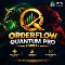 Comprar por 399 USD OrderFlow Quantum Pro