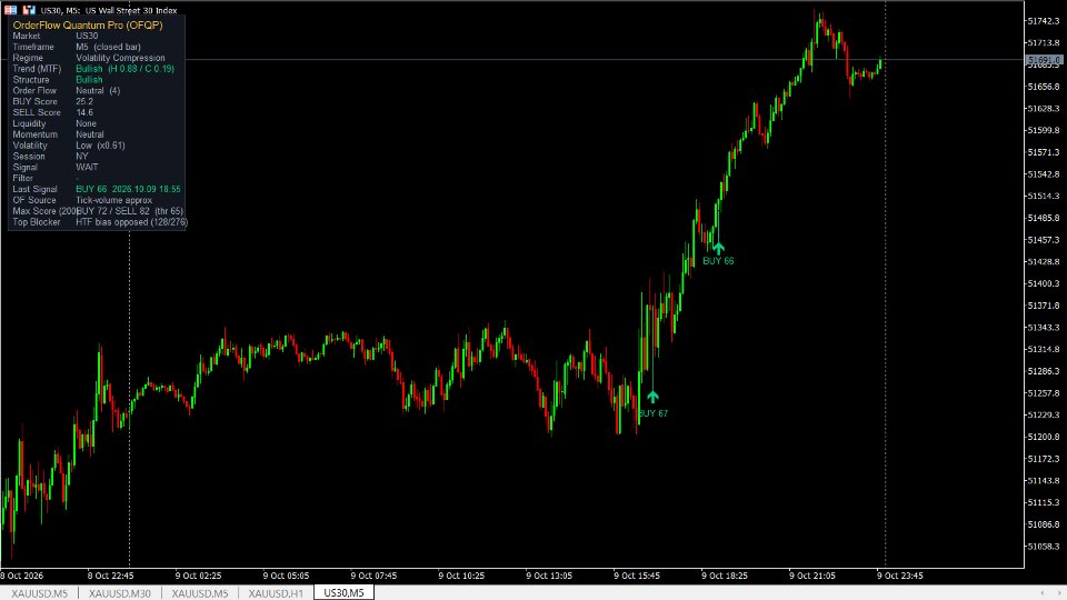 Screenshot #1 OrderFlow Quantum Pro