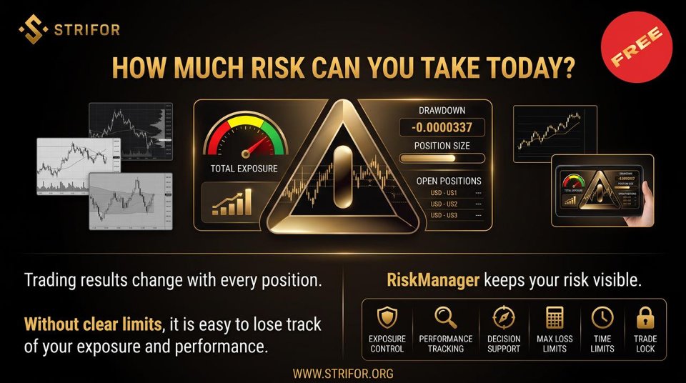 Screenshot #2 Strifor RiskManager