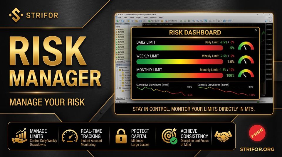 Screenshot #1 Strifor RiskManager