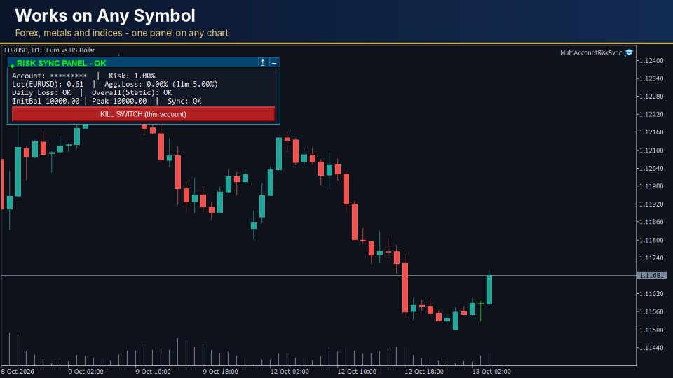 Ekran görüntüsü #5 Multi Account Risk Sync Panel