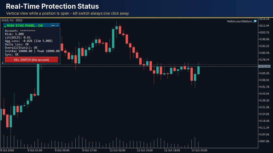 Ekran görüntüsü #8 Multi Account Risk Sync Panel