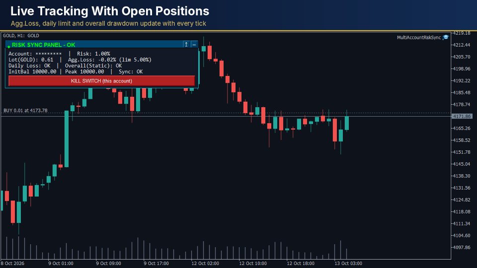 Ekran görüntüsü #7 Multi Account Risk Sync Panel