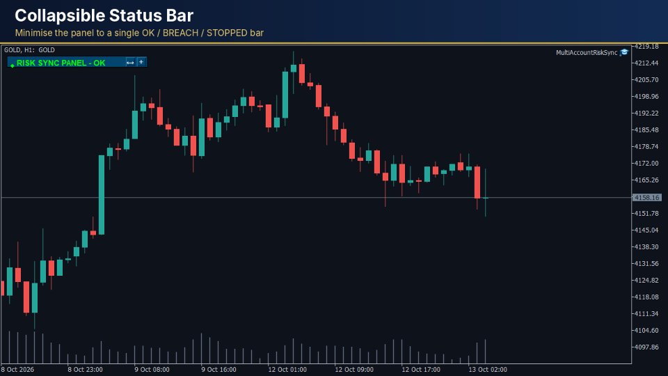 Ekran görüntüsü #3 Multi Account Risk Sync Panel