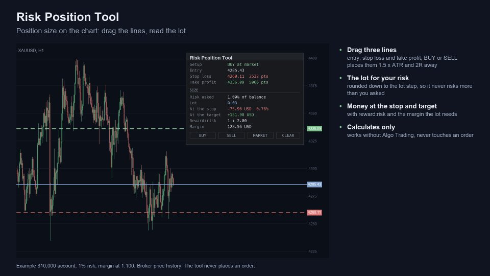 Снимок экрана #1 Risk Position Tool