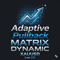 Adaptive Pullback Matrix Dynamic