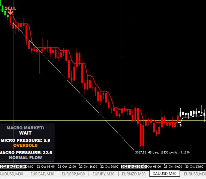 Imagens #1 Maxxi