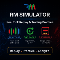 RM Simulator