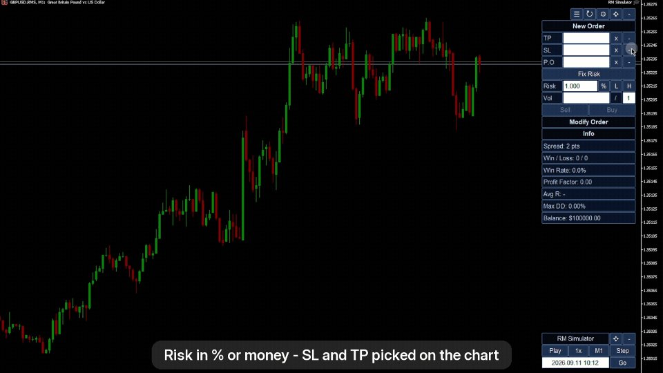 Screenshot #4 RM Simulator