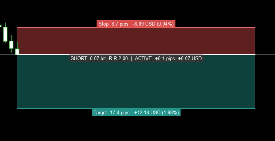 スクリーンショット #8 AMD Position Tool