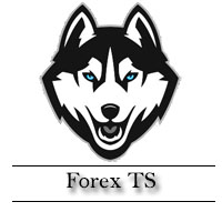 Forex TS
