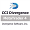CCI Standard and Hidden Divergences