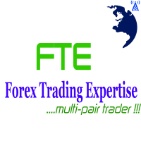 Forex Trading Expertise