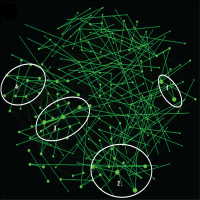 NeuralRegrLight