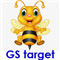 GS target