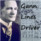 Gann Lines Driver