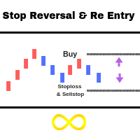 Stop Reversal Re Entry