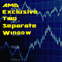 AMD Exclusive Two Separate Window