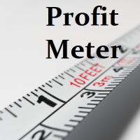 Profit Meter