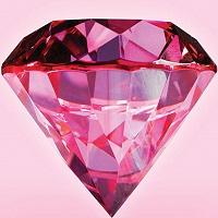 Portfolio Filler Ruby