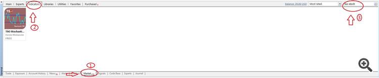 Example Download From Terminal