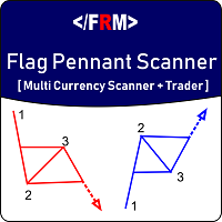 Flag Pennant Scanner
